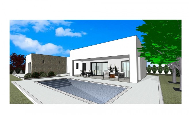 Villa - Nowy budynek - Pinoso - Lel